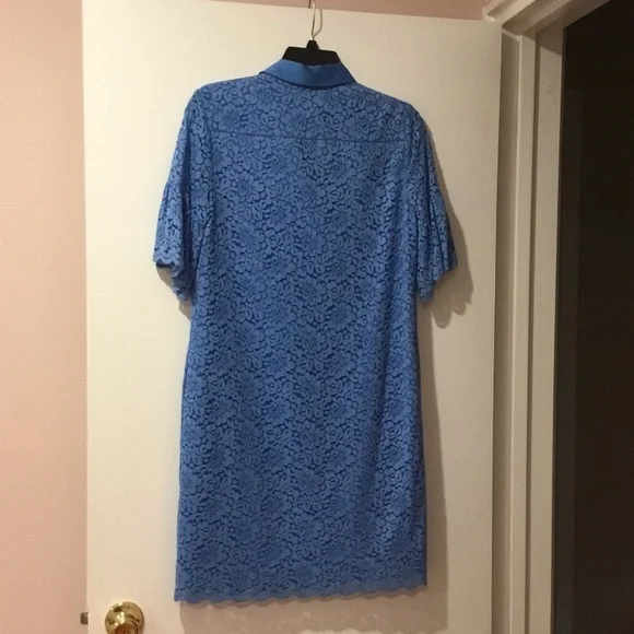 Banana Republic Sky Blue Lace Dress - Picture 3 of 5